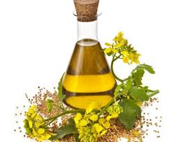 روغن کندش هندی